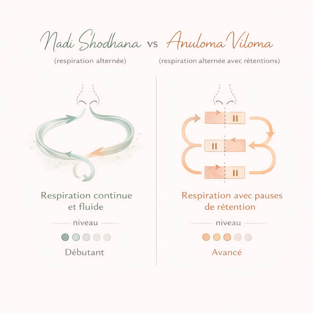 nadi shodhana anuloma viloma différence comparaison pranayama